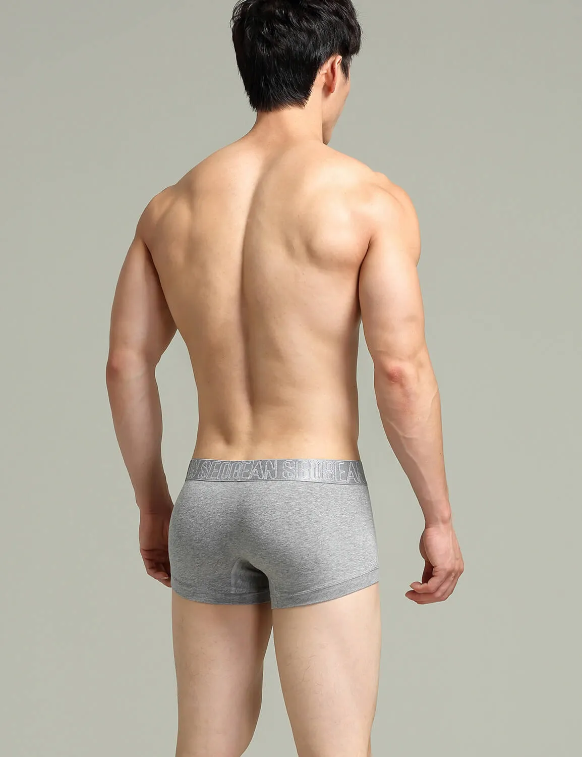 Classic Solid Boxer Brief 220208