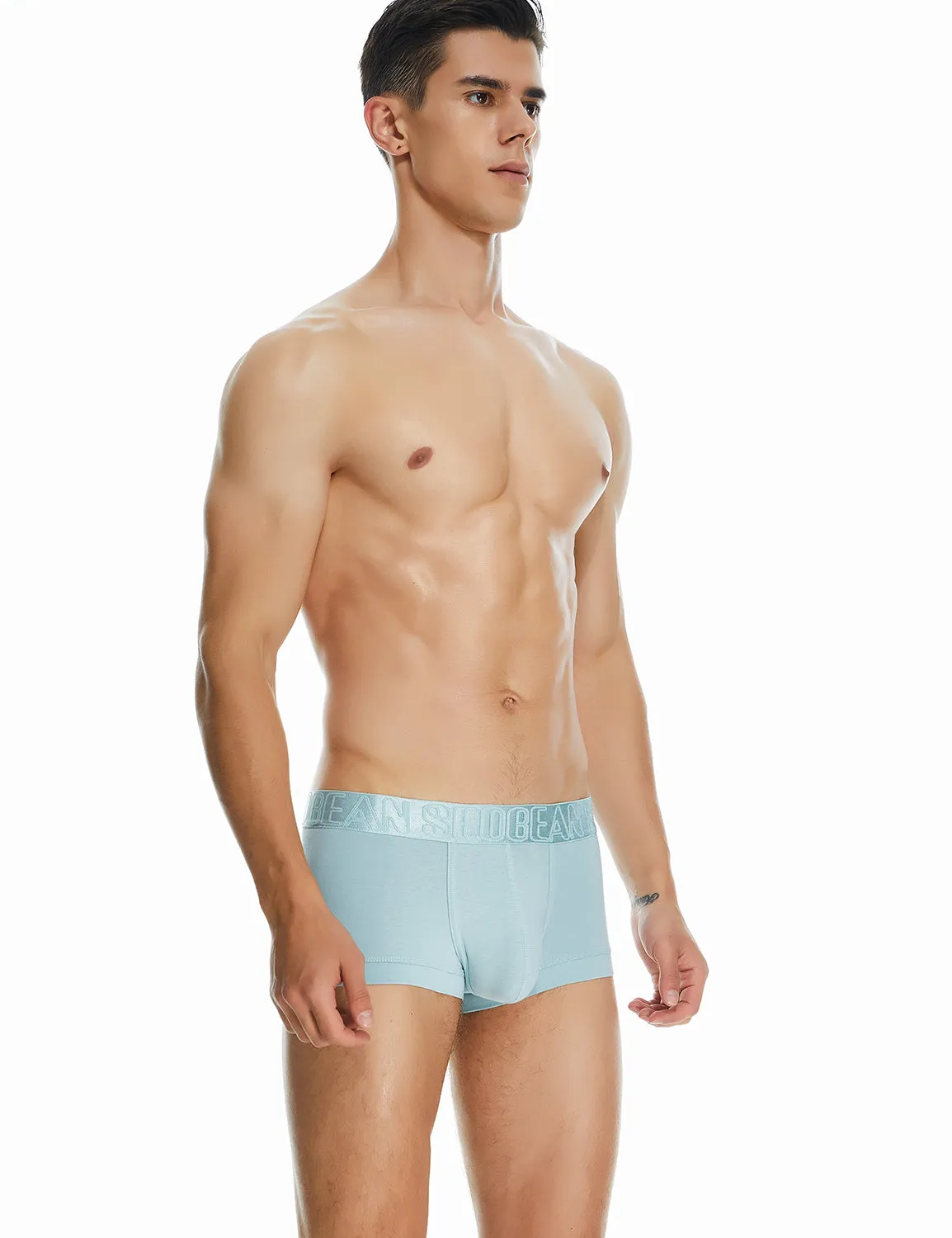 Classic Solid Boxer Brief 220208