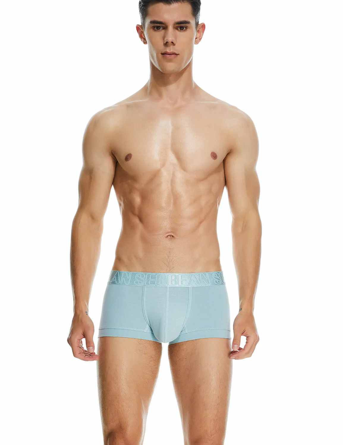 Classic Solid Boxer Brief 220208