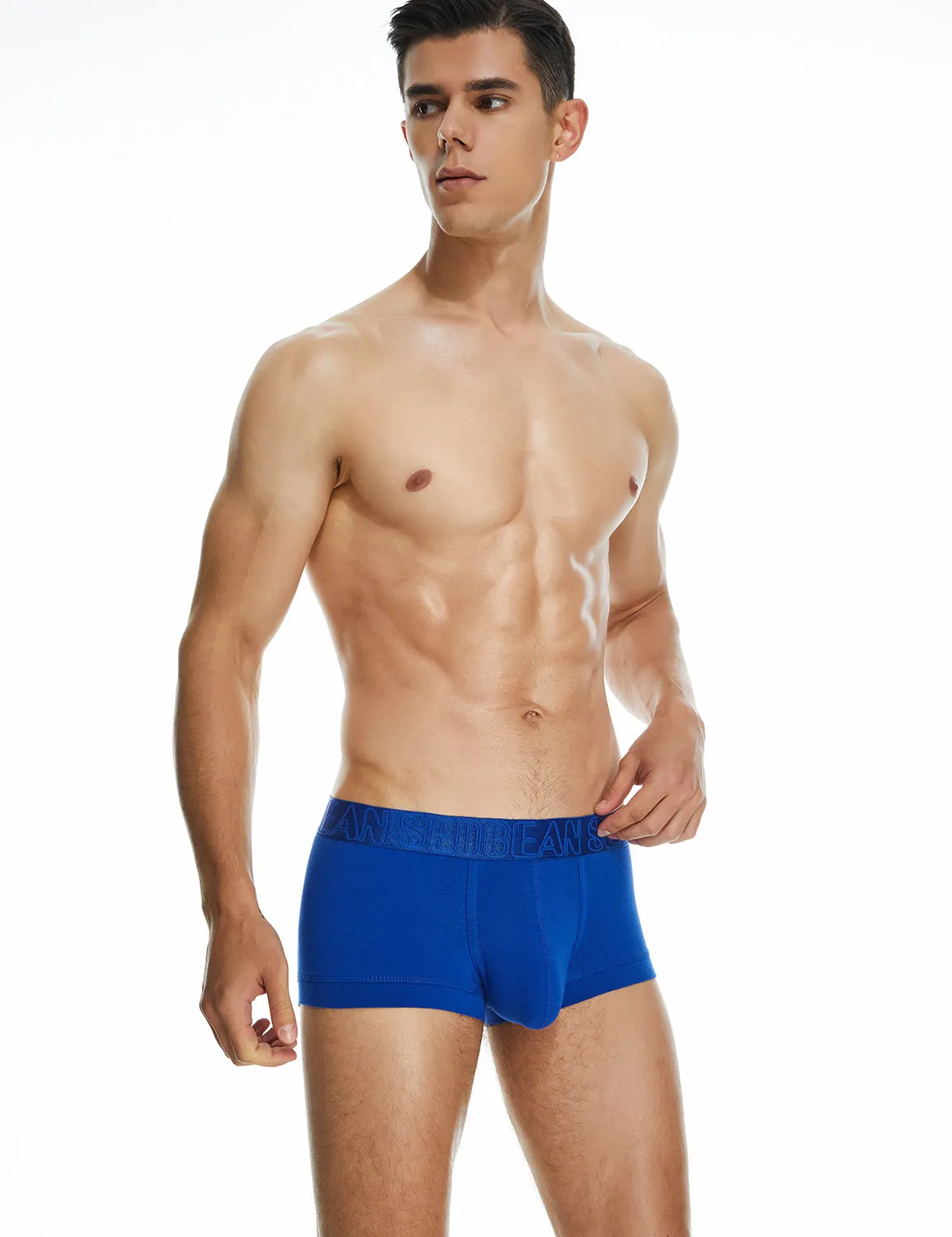 Classic Solid Boxer Brief 220208