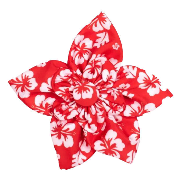 Collar Flower | Aloha Coral