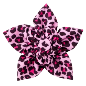 Collar Flower | Pink Leopard Print