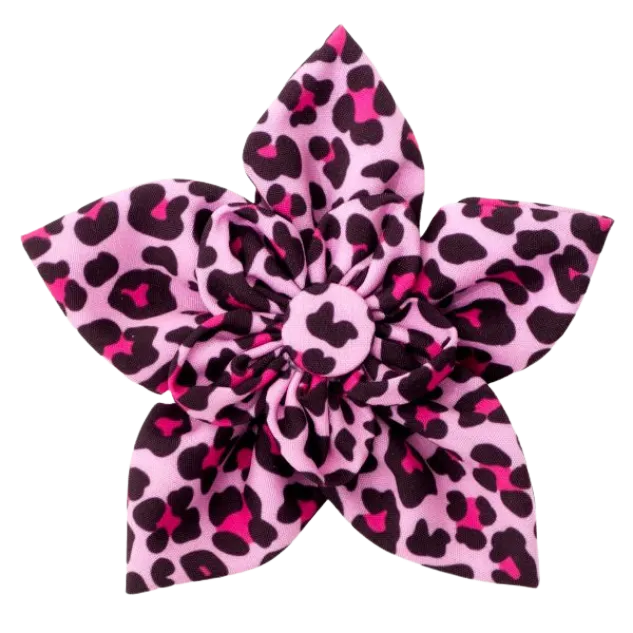 Collar Flower | Pink Leopard Print