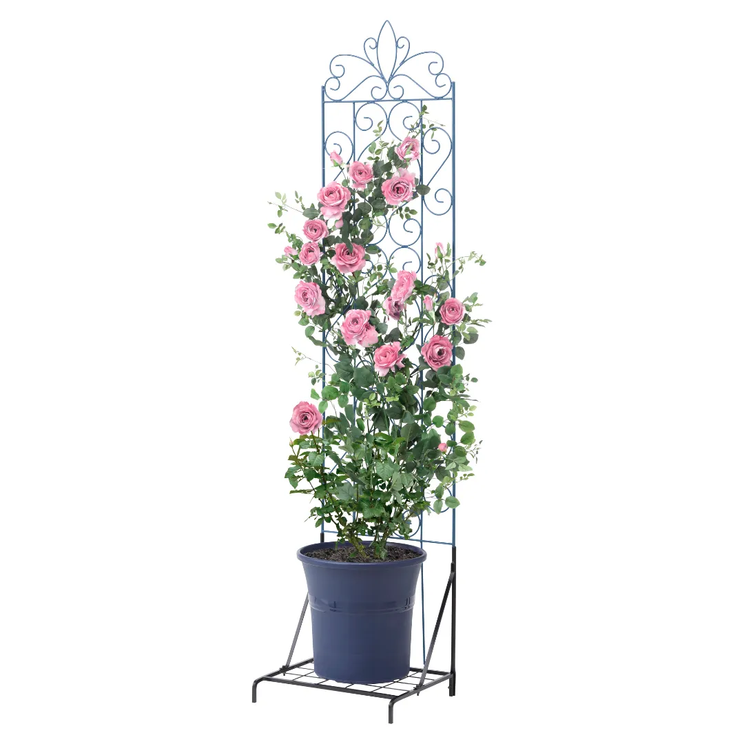 Design Trellis (Pack Of 4)