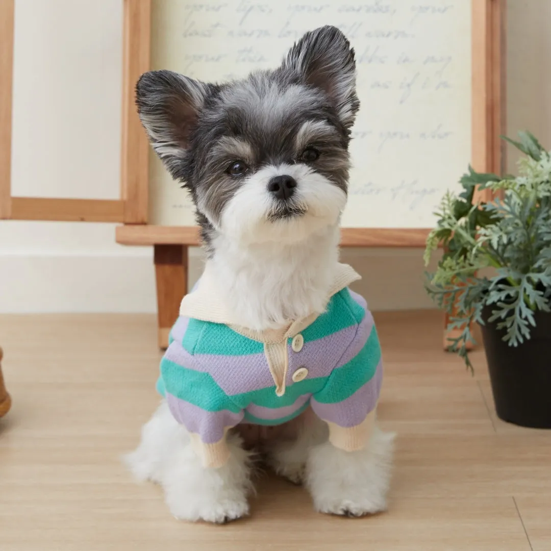 Striped Collar Knit Sweater - Purple