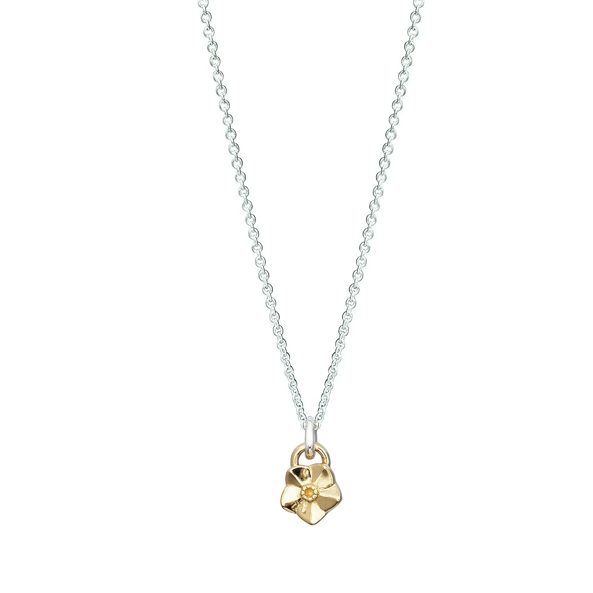 Tiny Forget-Me-Not Silver & Gold Necklace